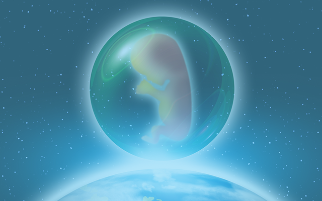 胎児のイメージ