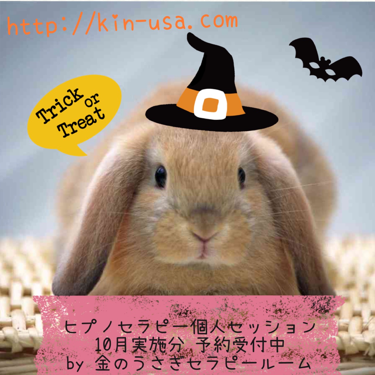 金のうさぎセラピールーム10月募集